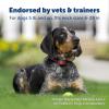 imagePetSafe Stay ampamp Play Wireless Fence Receive Collar for Stubborn Dogs  Rechargeable ampamp Waterproof Receiver Collar with Quick Charge in 23 Hours  for Dogs 5lbStubborn Dog Receiver Collar Only