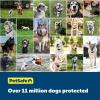 imagePetSafe YardMax Dog Fence Collar Electric Dog Containment Waterproof Collar Fits Dogs 5 lb ampamp Up Adjusts to Fit Neck Sizes 628 in Black  from The Parent Company of Invisible Fence BrandAddaDog Collar