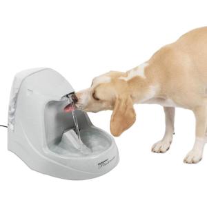 imagePetSafe Drinkwell Platinum Dog and Cat Water Fountain Automatic Drinking Fountain for Pets 168 OunceGreyPlatinum