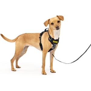 imagePetSafe Easy Walk Comfort NoPull Dog Harness FullBody Padding  Better Walks on The First Use  5 Points of Adjustment Large BlueBlack