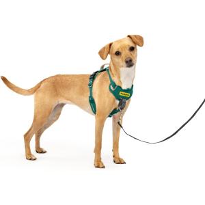 imagePetSafe Easy Walk Comfort NoPull Dog Harness FullBody Padding  Better Walks on The First Use  5 Points of Adjustment Large BlueGreen