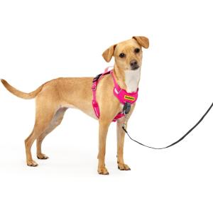 imagePetSafe Easy Walk Comfort NoPull Dog Harness FullBody Padding  Better Walks on The First Use  5 Points of Adjustment Large BluePink