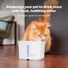 imagePetSafe Viva Pet Fountain for Cats and Dogs  41L140 oz Indoor Cat Water Fountain with Ultra Quiet Pump Dishwasher Safe Easy to Clean Water Filters IncludedOne Size