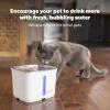 imagePetSafe Viva Pet Fountain for Cats and Dogs  41L140 oz Indoor Cat Water Fountain with Ultra Quiet Pump Dishwasher Safe Easy to Clean Water Filters IncludedOne Size