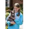 imagePetSafe InGround Cat Fence  Create Safe Outdoor Roaming Zones  Waterproof ampamp BatteryOperated Collar  Covers Up to 13 Acre with 500 ft of Wire  for Cats Older Than 6 Months Weighing Over 6 lbsInGround Fence