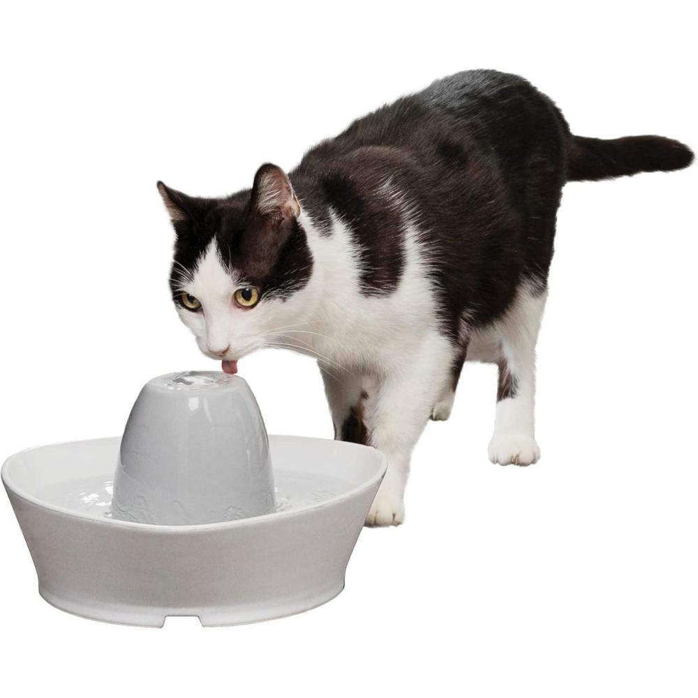 imagePetSafe Ceramic Pet Fountain  for Cats and Small Dogs  60 Oz Water Capacity  WhisperQuiet Water Flow  Great for Shy or Timid Pets  Fresh Filtered Water1 Count Pack of 1