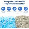 imagePetSafe ScoopFree Disposable Crystal Cat Litter Tray  Easy Cleaning Box  Refill Tray for Electric Litter Box  Fresh Scent  43 lb Bags  6 Pack3Pack
