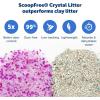 imagePetSafe ScoopFree Disposable Crystal Cat Litter Tray  Easy Cleaning Box  Refill Tray for Electric Litter Box  Fresh Scent  43 lb Bags  6 Pack6Pack