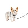 imagePetSafe 3in1 Harness  Comfortable EasyWalk Dog Chest Harness with Front Leash Attachment to Reduce Pulling Choking ampamp Gagging  Dog Obedience Gear  Medium  BlackBlack