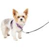 imagePetSafe 3in1 Harness  Comfortable EasyWalk Dog Chest Harness with Front Leash Attachment to Reduce Pulling Choking ampamp Gagging  Dog Obedience Gear  Medium  BlackPlum