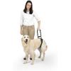 imagePetSafe CareLift Rear Support Harness  Senior ampamp Disabled Dog Rear Mobility Support  EasyFitting Breathable Belly Straps with Lifting Aid Handle ampamp Shoulder Strap  for Medium Dogs 3570 lbLarge Pack of 1