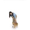 imagePetSafe CareLift Rear Support Harness  Senior ampamp Disabled Dog Rear Mobility Support  EasyFitting Breathable Belly Straps with Lifting Aid Handle ampamp Shoulder Strap  for Medium Dogs 3570 lbSmall Pack of 1