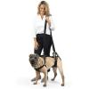 imagePetSafe CareLift Support Harness  Lifting Aid for Senior or Injured Dogs  Breathable Mesh  Machine Washable  PostSurgery Dog Support  MediumMedium Pack of 1