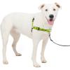 imagePetSafe Easy Walk Deluxe Dog Harness No Pull Dog Harness  Perfect for Leash ampamp Harness Training  Stops Pets from Pulling and Choking on Walks  Large AppleApple Green