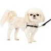 imagePetSafe Easy Walk NoPull Dog Harness  The Ultimate Harness to Help Stop Pulling  Take Control ampamp Teach Better Leash Manners  Helps Prevent Pets Pulling on Walks Small RaspberryGrayBlackSilver