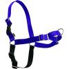 imagePetSafe Easy Walk NoPull Dog Harness  The Ultimate Harness to Help Stop Pulling  Take Control ampamp Teach Better Leash Manners  Helps Prevent Pets Pulling on Walks Small RaspberryGrayDeep PurpleBlack