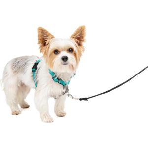 imagePetSafe 3in1 Harness  Comfortable EasyWalk Dog Chest Harness with Front Leash Attachment to Reduce Pulling Choking ampamp Gagging  Dog Obedience Gear  Medium  BlackTeal