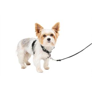 imagePetSafe 3in1 Harness  Comfortable EasyWalk Dog Chest Harness with Front Leash Attachment to Reduce Pulling Choking ampamp Gagging  Dog Obedience Gear  Medium  BlackBlack