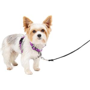 imagePetSafe 3in1 Harness  Comfortable EasyWalk Dog Chest Harness with Front Leash Attachment to Reduce Pulling Choking ampamp Gagging  Dog Obedience Gear  Medium  BlackPlum