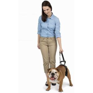 imagePetSafe CareLift Rear Support Harness  Senior ampamp Disabled Dog Rear Mobility Support  EasyFitting Breathable Belly Straps with Lifting Aid Handle ampamp Shoulder Strap  for Medium Dogs 3570 lbMedium Pack of 1
