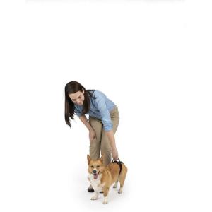 imagePetSafe CareLift Rear Support Harness  Senior ampamp Disabled Dog Rear Mobility Support  EasyFitting Breathable Belly Straps with Lifting Aid Handle ampamp Shoulder Strap  for Medium Dogs 3570 lbSmall Pack of 1