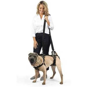 imagePetSafe CareLift Support Harness  Lifting Aid for Senior or Injured Dogs  Breathable Mesh  Machine Washable  PostSurgery Dog Support  MediumMedium Pack of 1