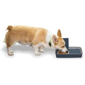 imagePetSafe Digital 2 Meal Programmable Pet Feeder Automatic Dog and Cat Feeder  Dry or SemiMoist Pet Food Dispenser Slow Feed Portion Control 3 Cup16 Ounce TamperResistant Dishwasher SafeStandard