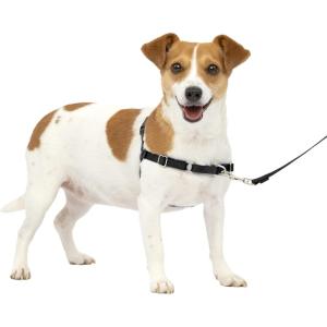 imagePetSafe Easy Walk NoPull Dog Harness  The Ultimate Harness to Help Stop Pulling  Take Control ampamp Teach Better Leash Manners  Helps Prevent Pets Pulling on Walks Small RaspberryGrayCharcoalBlack