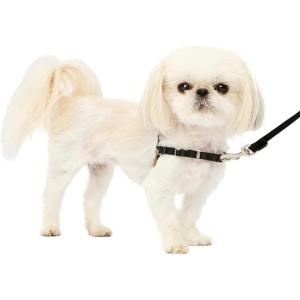 imagePetSafe Easy Walk NoPull Dog Harness  The Ultimate Harness to Help Stop Pulling  Take Control ampamp Teach Better Leash Manners  Helps Prevent Pets Pulling on Walks Small RaspberryGrayBlackSilver