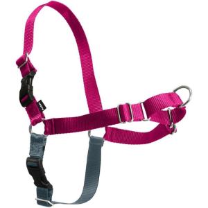 imagePetSafe Easy Walk NoPull Dog Harness  The Ultimate Harness to Help Stop Pulling  Take Control ampamp Teach Better Leash Manners  Helps Prevent Pets Pulling on Walks Small RaspberryGrayRaspberryGray