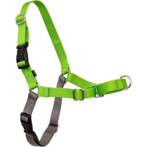 imagePetSafe Easy Walk NoPull Dog Harness  The Ultimate Harness to Help Stop Pulling  Take Control ampamp Teach Better Leash Manners  Helps Prevent Pets Pulling on Walks Small RaspberryGrayApple GreenGray
