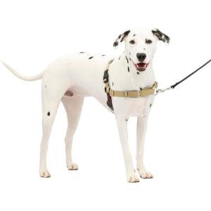 imagePetSafe Easy Walk NoPull Dog Harness  The Ultimate Harness to Help Stop Pulling  Take Control ampamp Teach Better Leash Manners  Helps Prevent Pets Pulling on Walks Small RaspberryGrayTan