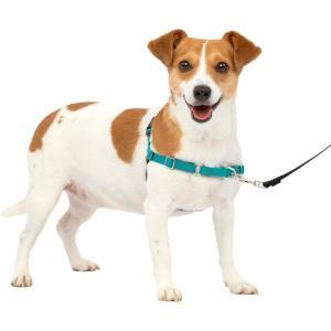 imagePetSafe Easy Walk NoPull Dog Harness  The Ultimate Harness to Help Stop Pulling  Take Control ampamp Teach Better Leash Manners  Helps Prevent Pets Pulling on Walks Small RaspberryGrayTealGray