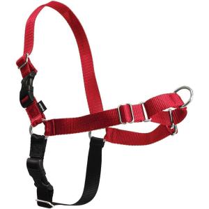 imagePetSafe Easy Walk NoPull Dog Harness  The Ultimate Harness to Help Stop Pulling  Take Control ampamp Teach Better Leash Manners  Helps Prevent Pets Pulling on Walks Small RaspberryGrayRedBlack
