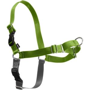 imagePetSafe Easy Walk NoPull Dog Harness  The Ultimate Harness to Help Stop Pulling  Take Control ampamp Teach Better Leash Manners  Helps Prevent Pets Pulling on Walks Small RaspberryGraygreen
