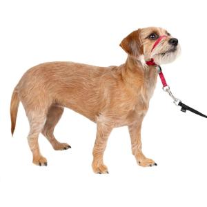 imagePetSafe Gentle Leader Headcollar NoPull Dog Collar  Helps Improve Walks  Durable Nylon Construction  Padded Nose Loop  Adjustable Fit  Comfort Walking Halter  Small BlackRed