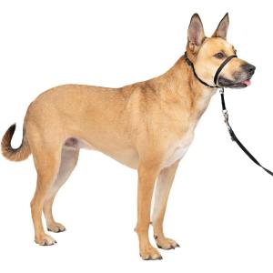 imagePetSafe Gentle Leader Headcollar NoPull Dog Collar  Helps Improve Walks  Durable Nylon Construction  Padded Nose Loop  Adjustable Fit  Comfort Walking Halter  Small BlackBlack