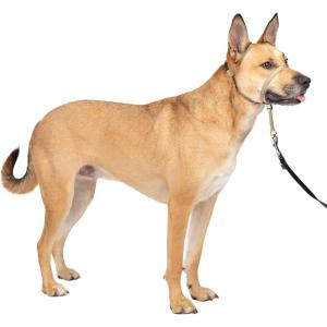 imagePetSafe Gentle Leader Headcollar NoPull Dog Collar  Helps Improve Walks  Durable Nylon Construction  Padded Nose Loop  Adjustable Fit  Comfort Walking Halter  Small BlackFawn