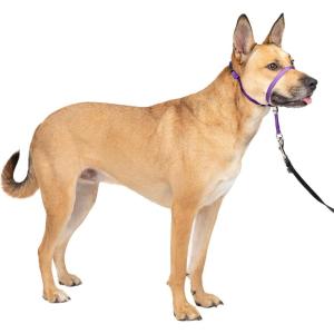 imagePetSafe Gentle Leader Headcollar NoPull Dog Collar  Helps Improve Walks  Durable Nylon Construction  Padded Nose Loop  Adjustable Fit  Comfort Walking Halter  Small BlackDeep Purple