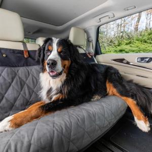 imagePetSafe Happy Ride Quilted Hammock Seat Cover  Waterproof ampamp Durable  Machine Washable  Fits Most Cars Trucks ampamp SUVs  Car Seat Protectors for Scratches ampamp Dog HairGrey