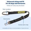 imagePetSafe Safety Seatbelt Tether  Adjustable Dog Seat Belt for Car  Works with Any Harness  Carabiner Clip Black  1 Seat Belt Tether