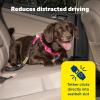 imagePetSafe Safety Seatbelt Tether  Adjustable Dog Seat Belt for Car  Works with Any Harness  Carabiner Clip Black  1 Seat Belt Tether