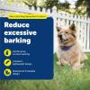 imagePetSafe Elite Little Dog Spray Bark Collar for Small Dogs from 8 lbs to 55 lbs  Smallest Collar Option  Citronella Spray  No Barking Control Device  PBC0011283