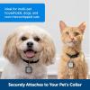 imagePetSafe SmartDoor Connected Pet Door Key  Provides Smart Personalized Access for Your Dogs amp Cats While Keeping Out Strays amp Wildlife  Compatible with SmartDoor Connected Pet Door  SmallSmartDoor Connected Pet Door Key