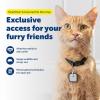imagePetSafe SmartDoor Connected Pet Door Key  Provides Smart Personalized Access for Your Dogs amp Cats While Keeping Out Strays amp Wildlife  Compatible with SmartDoor Connected Pet Door  SmallSmartDoor Connected Pet Door Key