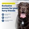imagePetSafe SmartDoor Connected Pet Door Key  Provides Smart Personalized Access for Your Dogs amp Cats While Keeping Out Strays amp Wildlife  Compatible with SmartDoor Connected Pet Door  SmallSmartDoor Connected Pet Door Key