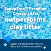imagePetSafe ScoopFree Premium Crystal Cat Litter  Outperforms Clay Litter  Refill Packs  Reusable Tray Compatible  Fresh Scent  43 lb Bags  8 PackFresh