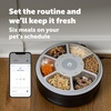 image:imagePetSafe FreshFeed Refrigerated Pet Feeder Automatic Wet Food Feeder for Cats amp Small Dogs App Control 6 Fresh Meals Stainless Steel Inserts BlackBlack