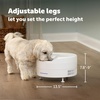 image:imagePetSafe FreshFeed Refrigerated Pet Feeder Automatic Wet Food Feeder for Cats amp Small Dogs App Control 6 Fresh Meals Stainless Steel Inserts BlackWhite